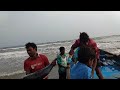 vadarevu beach chirala fishes