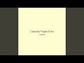 Cascade Fragile Echo