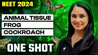 Animal Tissue + Frog + Cockroach | One Shot | NEET 2024 | Dr Gargi Singh