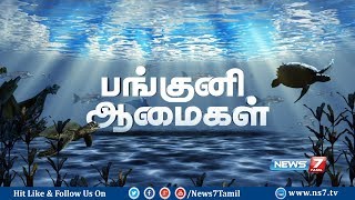 உளவுப் பார்வை - பங்குனி ஆமைகள் | The Survival of the Sea Turtle | Ulavu parvai