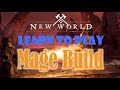 New World Mage Fire Staff & Ice Gauntlet Build | New World PvP Mage Build