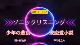 複聴トレーニング。国木田独歩 著【少年の悲哀】　芥川竜之介 著【或恋愛小説】