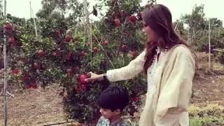 Shilpa Shetty Dalimb Funny Video Shilpa Shetty Dalimb Funny Video