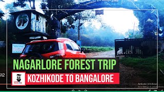 അതിരാവിലെ കൊടും കാട്ടിലൂടെ യാത്ര | NAGARHOLE FOREST TRIP | LIJEESH PATTAYIL