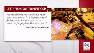 ‘Tainted’ mushrooms causes 1 death, poison control center reports