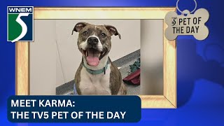 Pet of the Day: Meet Karma