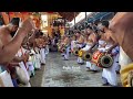 nelluvai ekadashi 2023 panchavadyam chottanikkara vijayan marar pathikalam thimila thalavattam