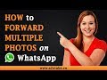 How to Forward Multiple Photos on WhatsApp on an Android Device