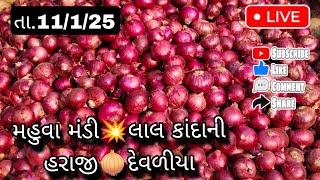 તા.11/1/25 લાલ કાંદાની હરાજી | મહુવા મંડી | દેવળીયા | lalal kandani haraji | mahuva mandi | devaliya