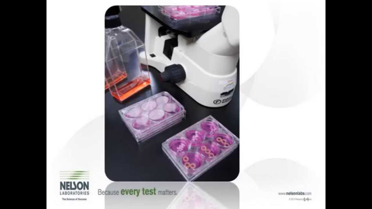 Biocompatibility Testing: Rethinking The "Big Three" │ Nelsonlabs.com ...