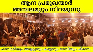 വൃശ്ചികോത്സവത്തിന് മറ്റേകാൻ പ്രമുഖന്മാർ എത്തിതുടങ്ങി  | Tripunithura Ulsavam 2022  | DAY 3 | MELAM