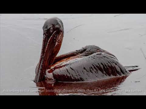 How does oil impact the environment?