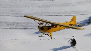 Damian DelGaizo's Ski Flying  101