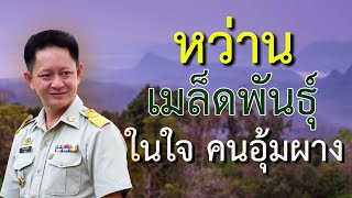 แลกเปลี่ยนความรู้เรื่องเกษตร | คนรักษ์ป่า ep 70