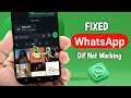 How to Fix Gif Not Working on WhatsApp Problem 2025 | WhatsApp Gif Not Working