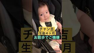 チャン吉（生後４ヶ月）がベビーカーでお散歩！朝から超ご機嫌です♪#赤ちゃん #お散歩 #ご機嫌 #babyboy #walking #happy