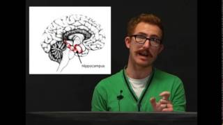 Case Studies in Psychology pt1 Dr. Chris Moulin