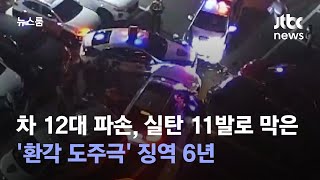 차량 12대 파손, 실탄 11발 쏴 막은 '환각 도주극'…징역 6년 / JTBC 뉴스룸