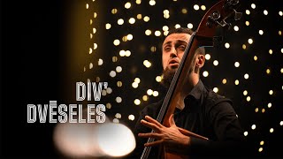 Div' dvēseles | Uzvedums \