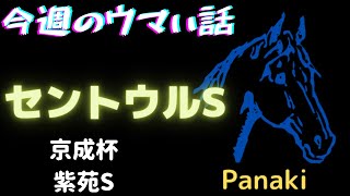 【セントウルS・紫苑S・京成杯】秋競馬突入　スプリンターズSの前哨戦　1200mはあの血統が買い所！？