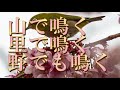 春を歌おう（高齢者向け）「春が来た　歌入り」2024年　リメイクしました。ご利用頂ければ有難いです。