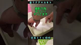 【簡単トイレ掃除】うさぎのトイレは毎日綺麗にね！