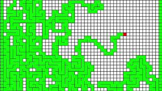 Maze Generator (Processing)