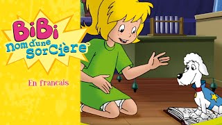 Bibi nom d'une sorcière - Super caniche Puck EPISODES COMPLETES EN FRANCAIS