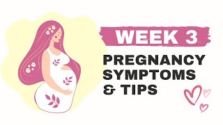 Week 3 of pregnancy  | ഗർഭത്തിൻറെ മൂന്നാം ആഴ്ച