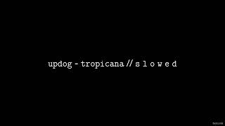 updog - tropicana // S L O W E D