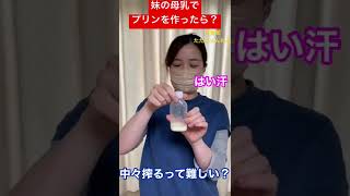 妹の母乳でプリンを作ったら？What if I make pudding with my sister's breast milk? #shorts