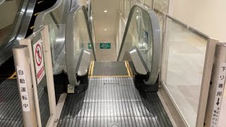 【起動あり】ニトリモール相模原 エスカレーター 下り【フジテック】Escalator, Nitori Mall Sagamihara(FUJITEC)