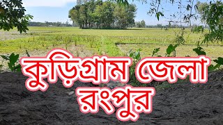 কুড়িগ্রামের জেলার পান্ডোল ইউনিয়ন এর গ্রাম অঞ্চলের একটি মনোরম প্রাকৃতিক  দৃশ্য।