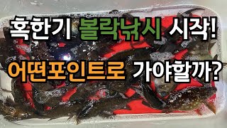 혹한기 볼락낚시 시작 !    어떤포인트로 가야할까?