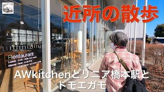 コロナ太り解消に近所散歩　丘の上までおいしいランチを目指す／気になるリニア駅の工事現場／珍しい野鳥に会いに行く　2021/02