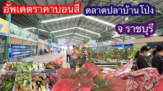 อัพเดตราคาบอนสีตลาดปลาบ้านโป่ง จ ราชบุรี