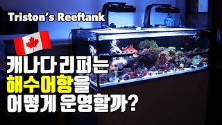 캐나다 리퍼는 해수어항을 어떻게 운영할까? ft.내부배면끝판왕