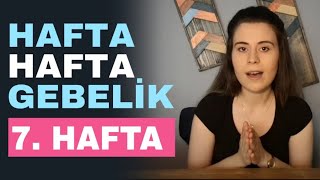 Hafta Hafta Gebelik - 7 Haftalık Gebelik