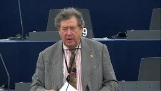 Enrique Calvet Chambon 25 Oct 2017 plenary speech on Economic policies