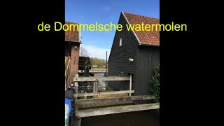 De Dommelsche watermolen