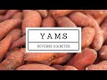 Can Yams or Sweet Potatoes Help Reverse Diabetes?