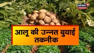 Annadata | Potato Cultivation | आलू की उन्नत खेती कैसे करें ? कम लागत और कमाएं ज्यादा मुनाफा