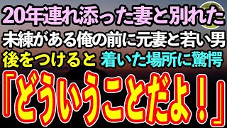 【感動する話】「もう離婚したいの」20年連れ添った妻と別れた俺。ある日、元妻が若い男と楽しそうに歩いていた。2人の後をつけ着いた先に驚愕「なんでこんな所に！」【泣ける話】