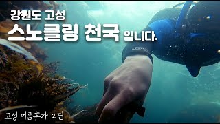 내 생애 최고의 스노클링 포인트. 그냥 미쳤다는 말 밖에 안나온다. 강원도 고성 스노클링 다이어리 2편. [고성 스노쿨링 여름휴가]