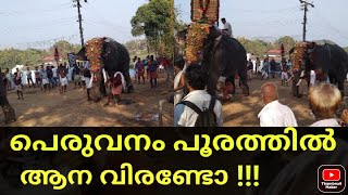 പെരുവനം പൂരത്തിൽ ആന വിരണ്ടോ !!! Is the Elephant Exsite at peruvanam pooram...?