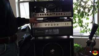 Ampeg V-4B vs Peavey VB-2