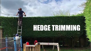 Trimming A Conifer / Leylandii Hedge