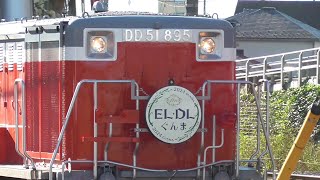 さようなら 電気機関車 EF64 1053、EF64 1001、ディーゼル機関車 DD51 895、DD51 842　｢ EL DL ぐんま fin ｣ 総集編(3/4)　2024年11月 撮影