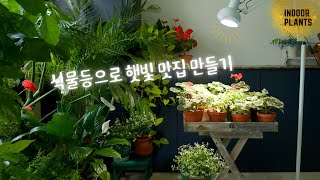 [4K] Get rich in sunlight with led plants lights