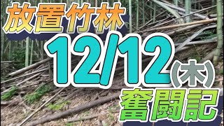 放置竹林奮闘記【サラリーマンが竹を焼く日々】2024/12/12